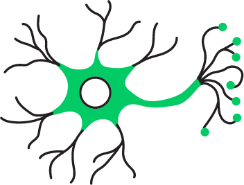 Neurologia e psichiatria
