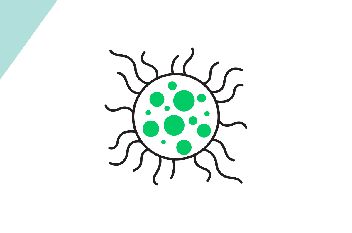 Fragment based screening